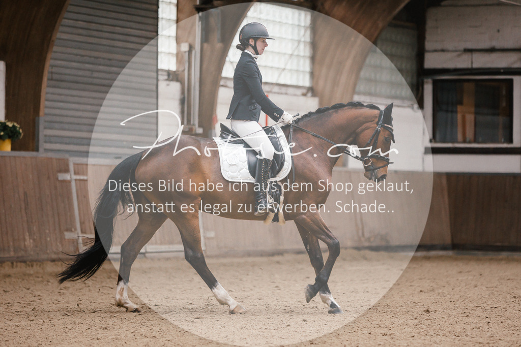 3I6A6609 | Stimmungsvolle Portraits und Reitsportfotografie im Ruhrgebiet und im Münsterland.

Pferdefotografie, Hundefotografie, Tierfotografie, Reportagen, Portraits von Tier und Mensch, Turnierfotografie in Bochum, Recklinghausen, Marl, Haltern am See, Dülmen.. - Realisiert mit Pictrs.com