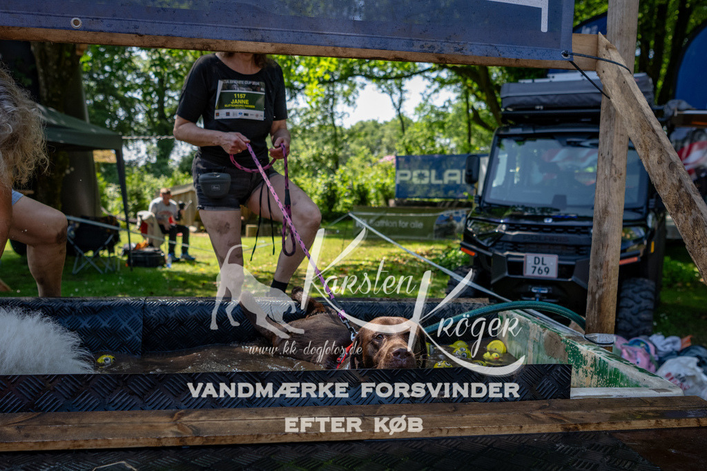 1329_ZZ91446 | kk-dogfotos