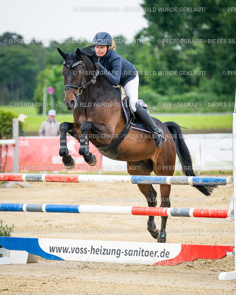 DSC05433 | Pferdegrafie