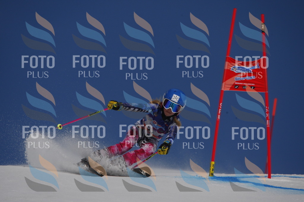 _W1G0240 | holidayphoto