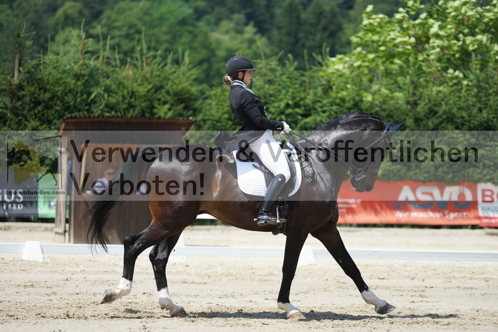 DSC05132 | equestrian-live-com