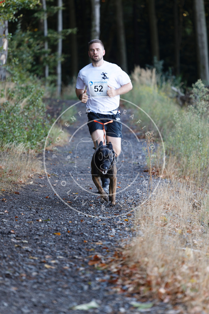 0L8A1789 | Hundefotografie, Tierfotograf, Pfotenfotografie, Fotoshooting Hund, Hunde Portrait, Hundesport, Hundeportraits, Heideshooting, Hunde, Sportfotograf, Hundefotograf, Turnierhundsport, THS,  - Realisiert mit Pictrs.com