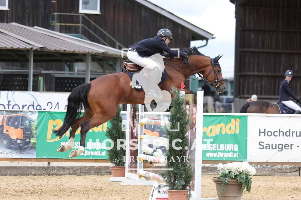 0P6A4536 | Willkommen bei Brunnmayr - Design & Fotografie – Ihrem Spezialisten für Reitturniere und Pferdeveranstaltungen in Oberösterreich, Salzburg und Bayern! Seit über 17 Jahren sind wir leidenschaftlich dabei.