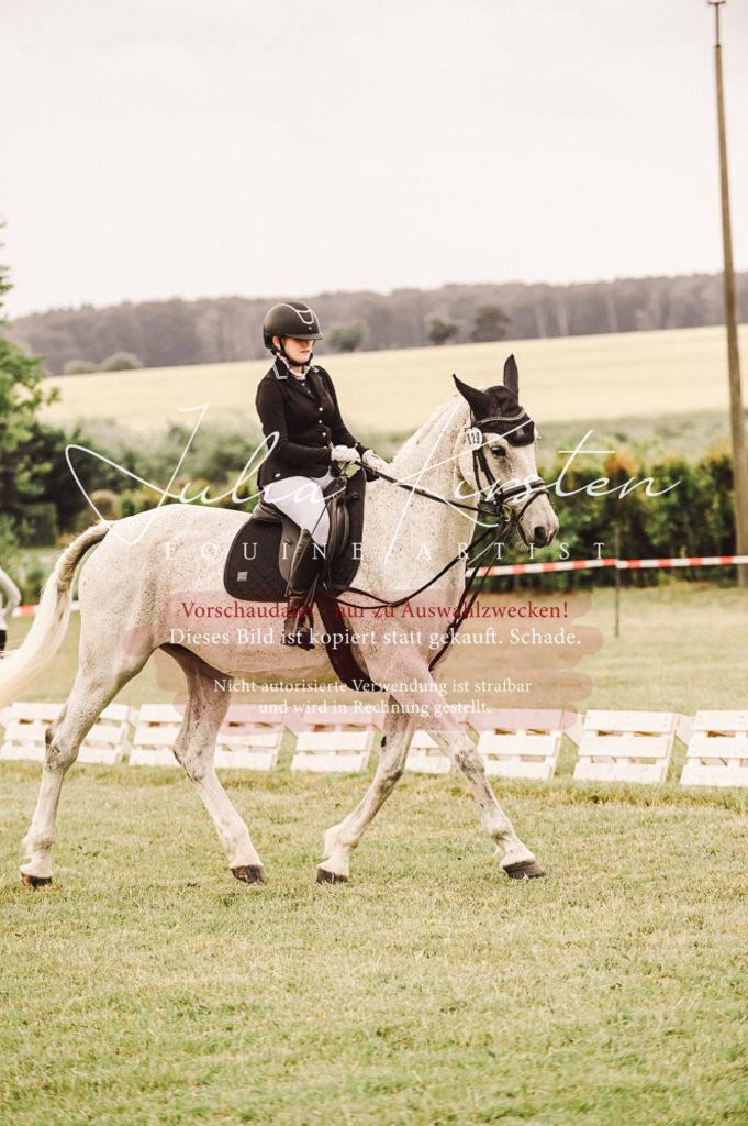 DSC_4960 | Pferde- und Turnierfotografie in Westsachsen. Pferdeportraits, Auftragszeichnungen und intuitive Kunst.
