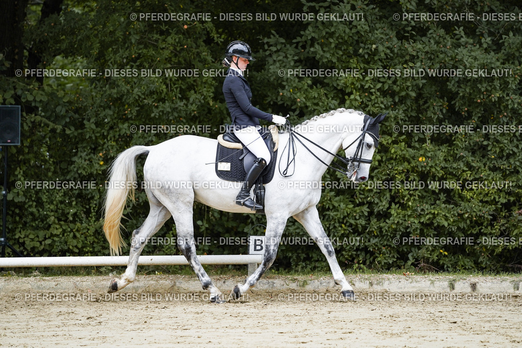 DSC08453 | Pferdegrafie