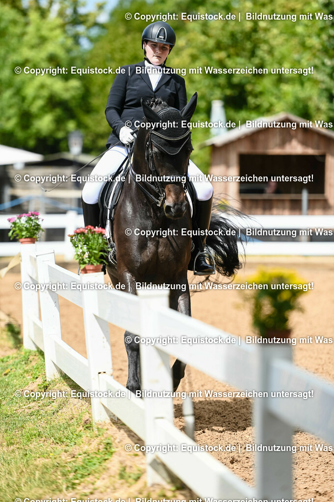 20230716_01_Dressurprüfung Kl.M_0127 | equistock
