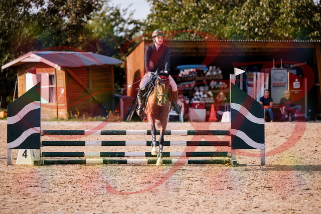 2026_10_03_Siefer-Hof_155341_Z81_73331399 | Professionelle Reitsport-, Turnier- und Eventfotografie von Robert Broda. Galerien mit ausgewählten und bearbeiteten Bildern direkt online ansehen und bestellen.