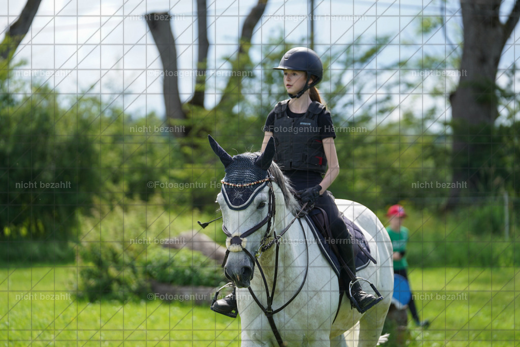 20240622-FAH07887 | Turnierfotografen Bayern, Reitsportbilder aus dem Geländekurs mit Felix Etzel auf dem Gut Waitzacker 2024