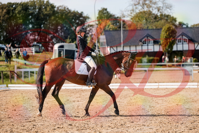 2026_10_03_Siefer-Hof_130437_Z63_67418941 | Professionelle Reitsport-, Turnier- und Eventfotografie von Robert Broda. Galerien mit ausgewählten und bearbeiteten Bildern direkt online ansehen und bestellen.