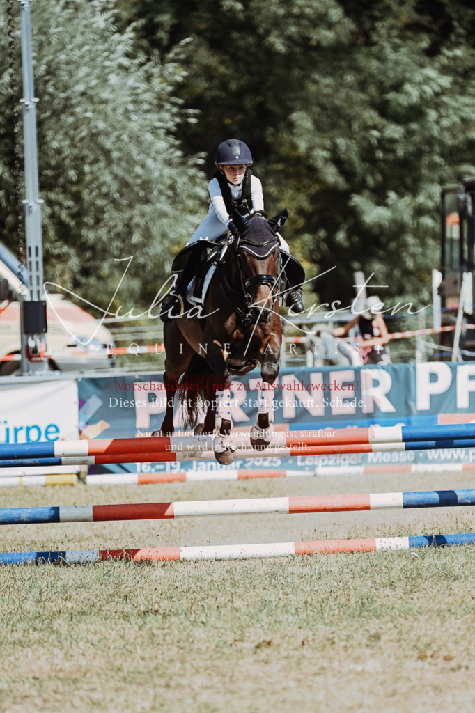 DSC_9789 | Pferde- und Turnierfotografie in Westsachsen. Pferdeportraits, Auftragszeichnungen und intuitive Kunst.