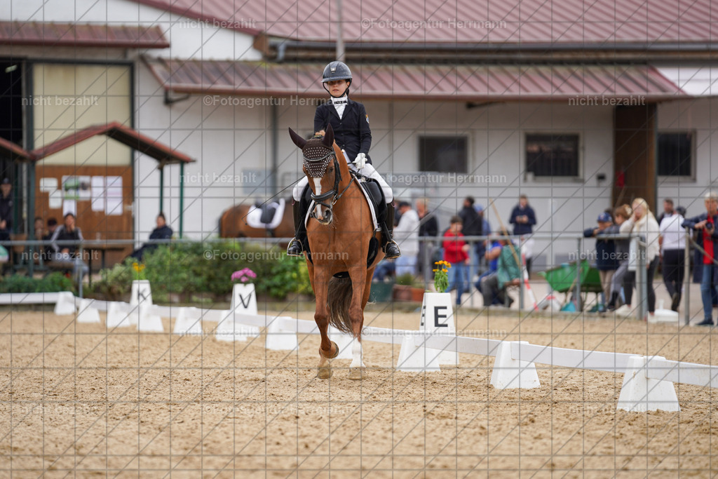 20240825-FAH09955 | Turnierbilder, Reitsportfotos, LAPO, Landesponyturnier, Turnierfotografen Bayern