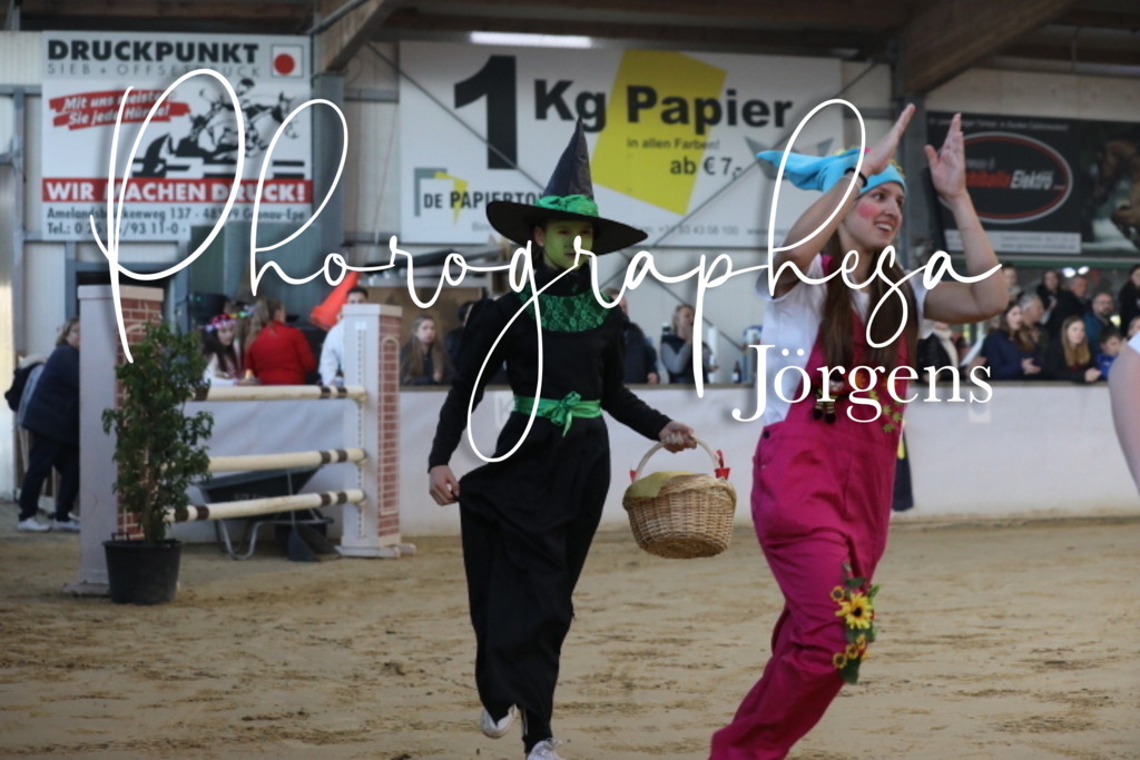 IMG_1734 | photographesa-joergens - Realisiert mit Pictrs.com