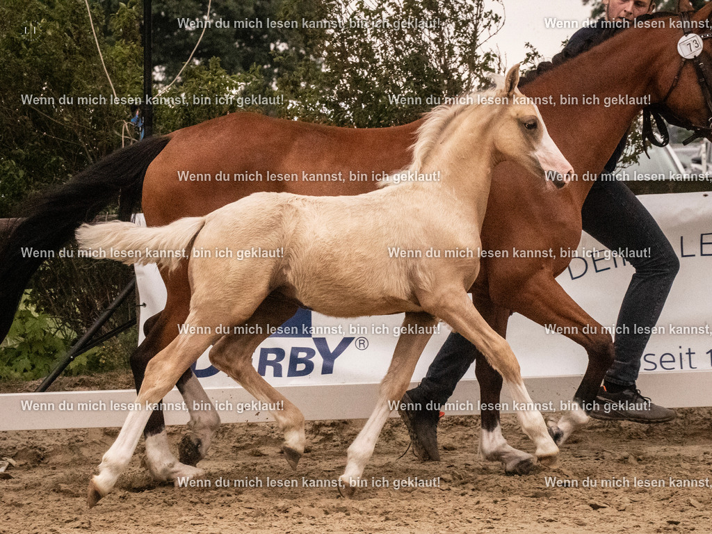 A10I2114 15.54.45 | photographylinaismer - Realisiert mit Pictrs.com