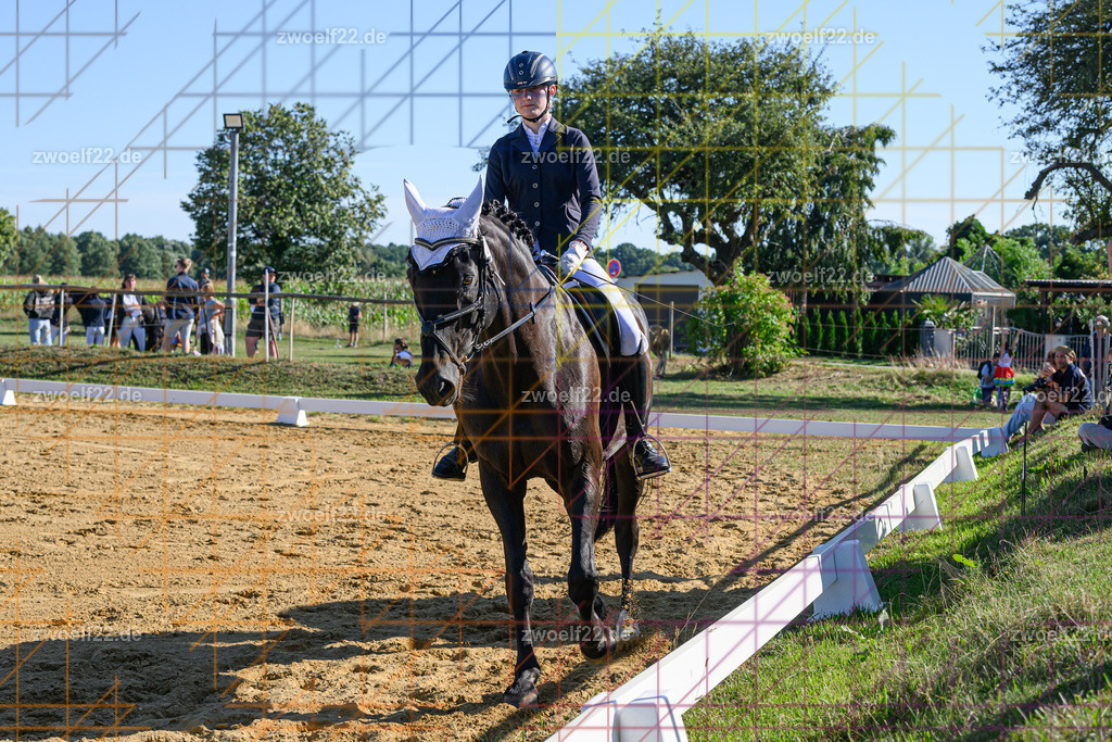 30 Jahre RFV Pulsnitz e.V., Pulsnitz am 09.08.2026 | Zur 28. breitensportlichen Veranstaltung des RFV Pulsnitz e.V. fanden verschiedene Wettbewerbe in nahezu allen Disziplinen des Pferdesport statt. - 04. Großer Dressur-Wettbewerb - Realisiert mit Pictrs.com