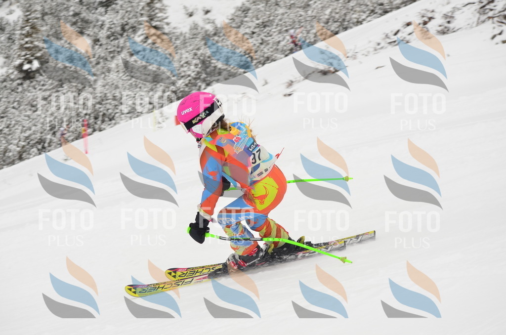 C1362 | holidayphoto