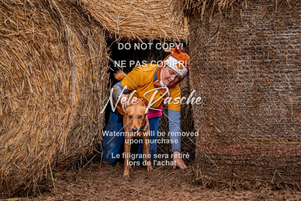 nelerasche_Hunsrück_So09-11_381 | nelerasche