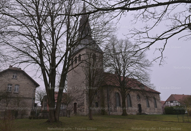 91_Bornum_21. März 2026DSC_6236 | Naturfotografie Frauke Gläser - Realisiert mit Pictrs.com