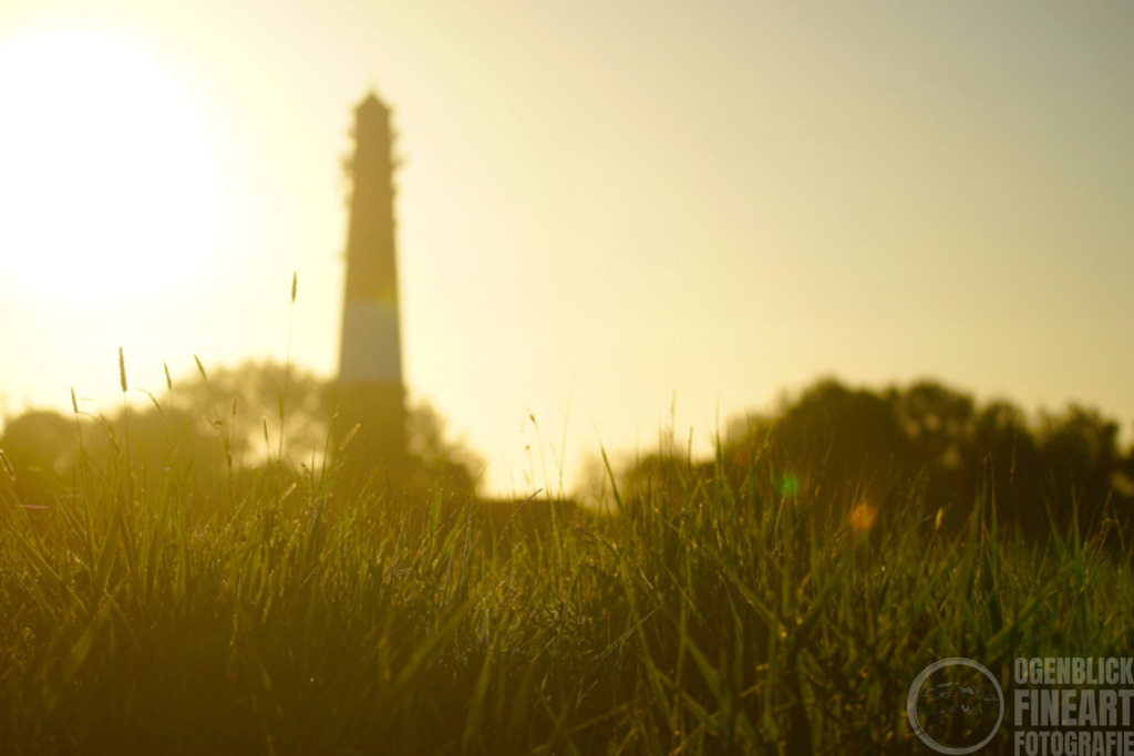 Maerz | Björn Thiemann; Ogenblick.de; Fotografie; Photograph; Landscape, Pellworm, Schleswig-Holstein; Inselfotograf; Inselfotografien; Wattenmeer; National-Park; Naturschutzgebiet; Leuchtturm; Lighthouse; Leinwandbilder; Kalender; Pellworm Kalender;  - Realisiert mit Pictrs.com