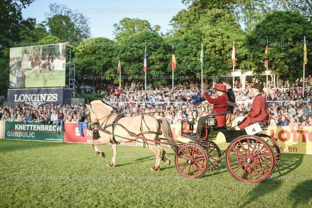 20230526_Pferdenacht_0095 | equistock