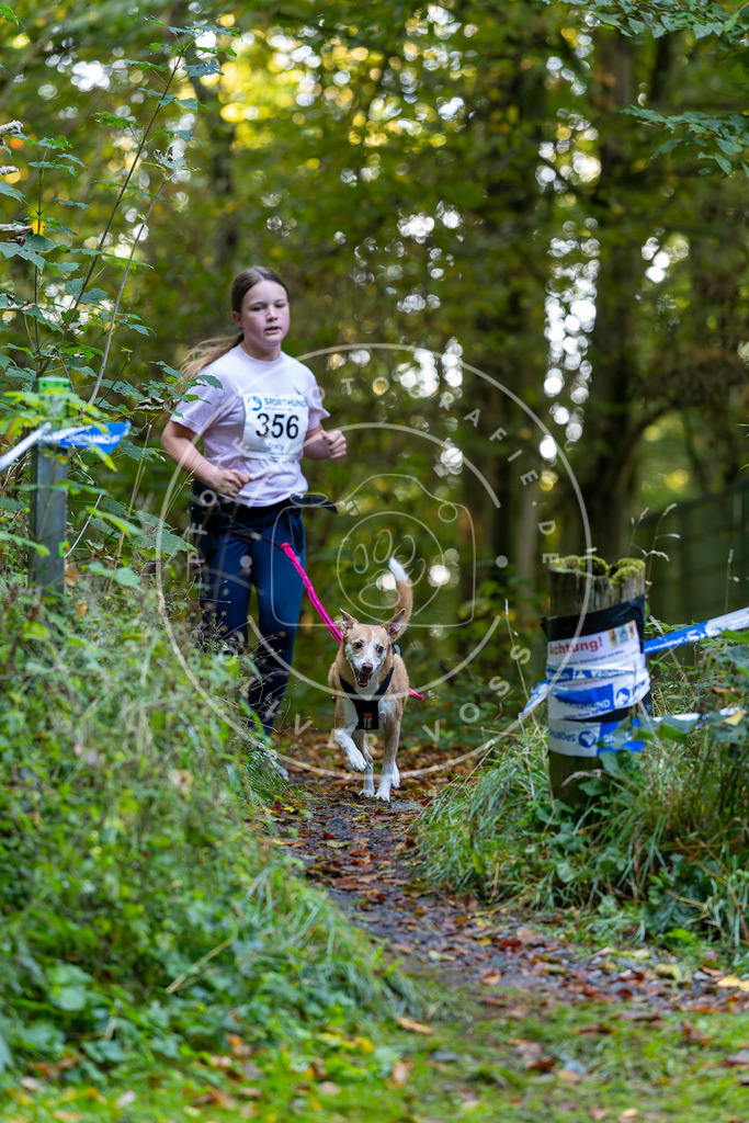 Pfotenfotografie_DV3A7745 | Hundefotografie, Tierfotograf, Pfotenfotografie, Fotoshooting Hund, Hunde Portrait, Hundesport, Hundeportraits, Heideshooting, Hunde, Sportfotograf, Hundefotograf, Turnierhundsport, THS,  - Realisiert mit Pictrs.com