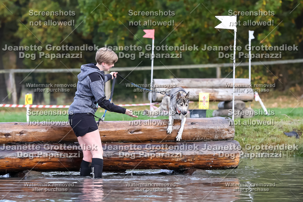 Dog Paparazzi - Strongdog 10-25-6872 | Dog Paparazzi Jeanette Grottendiek Fotografie & Videografie - Realisiert mit Pictrs.com