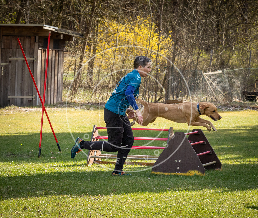 Pfotenfotografie_DV3A1439 | Hundefotografie, Tierfotograf, Pfotenfotografie, Fotoshooting Hund, Hunde Portrait, Hundesport, Hundeportraits, Heideshooting, Hunde, Sportfotograf, Hundefotograf, Turnierhundsport, THS,  - Realisiert mit Pictrs.com