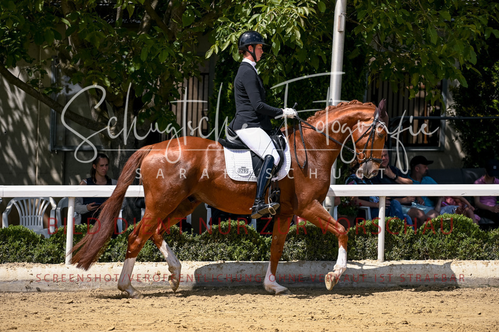 Schugtsche-Aluta25-49.Dressurpferdeprf.A-86 | Schugtsche Fotografie - Realisiert mit Pictrs.com