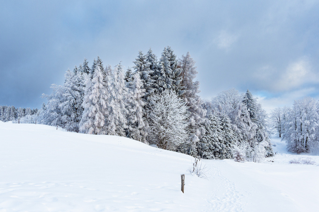 Landschaft im Winter im Thüringer Wald in der Nähe von Schmiedefeld am Rennsteig | Landschaft im Winter im Thüringer Wald in der Nähe von Schmiedefeld am Rennsteig.
