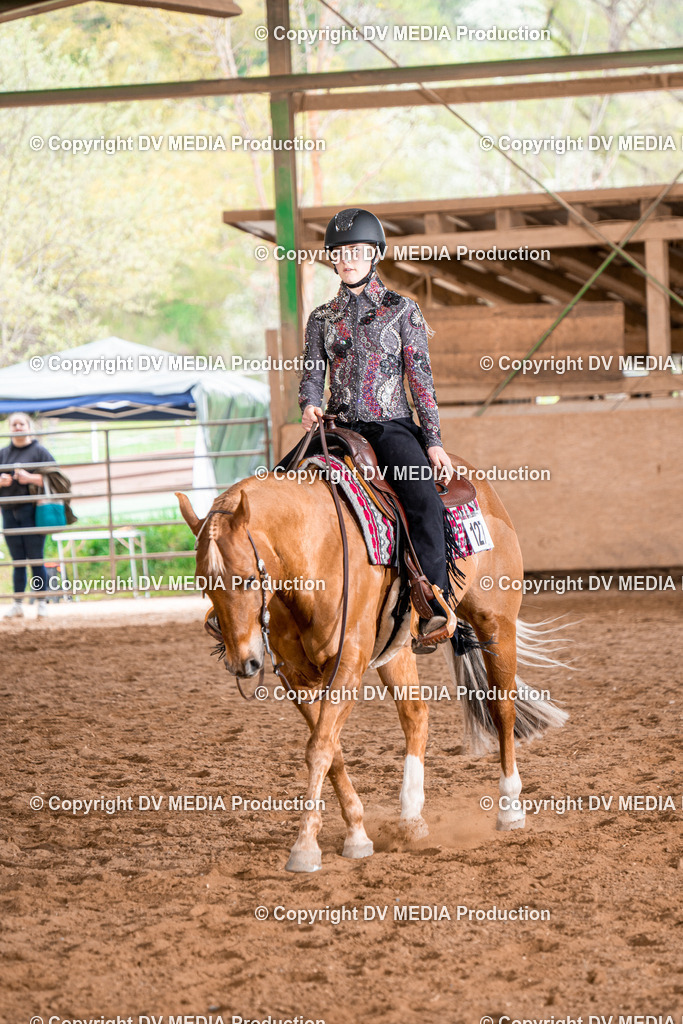 BA300798 | dv-media-shop - Realisiert mit Pictrs.com