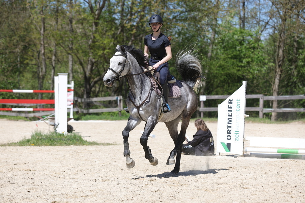 0P6A8831 | Willkommen bei Brunnmayr - Design & Fotografie – Ihrem Spezialisten für Reitturniere und Pferdeveranstaltungen in Oberösterreich, Salzburg und Bayern! Seit über 17 Jahren sind wir leidenschaftlich dabei.