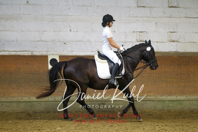 DKP44493 | Turniersportfotografie; Pferdefotografie; Dressurfotografie