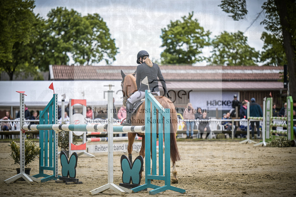 DOS_6290 | Entdecke hochwertige Reitturnierfotos von Foto Oger. Professionell, emotional und authentisch – jetzt Lieblingsmomente im Shop bestellen.Deutschlandweite Turnierfotografie. - Realisiert mit Pictrs.com