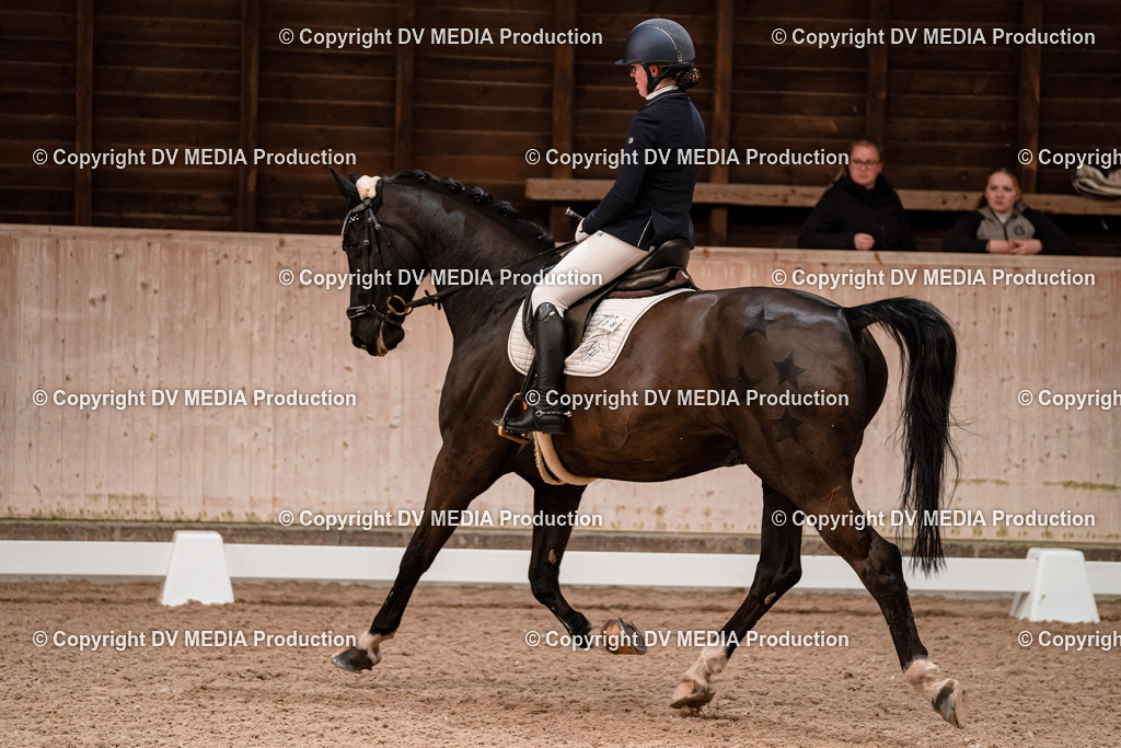 Dressur Tag 2-321 | dv-media-shop - Realisiert mit Pictrs.com