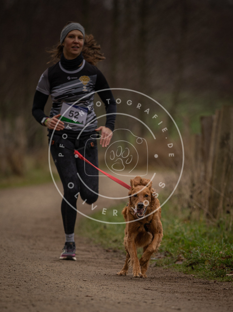 Pfotenfotografie_DV3A2912 | Hundefotografie, Tierfotograf, Pfotenfotografie, Fotoshooting Hund, Hunde Portrait, Hundesport, Hundeportraits, Heideshooting, Hunde, Sportfotograf, Hundefotograf, Turnierhundsport, THS,  - Realisiert mit Pictrs.com