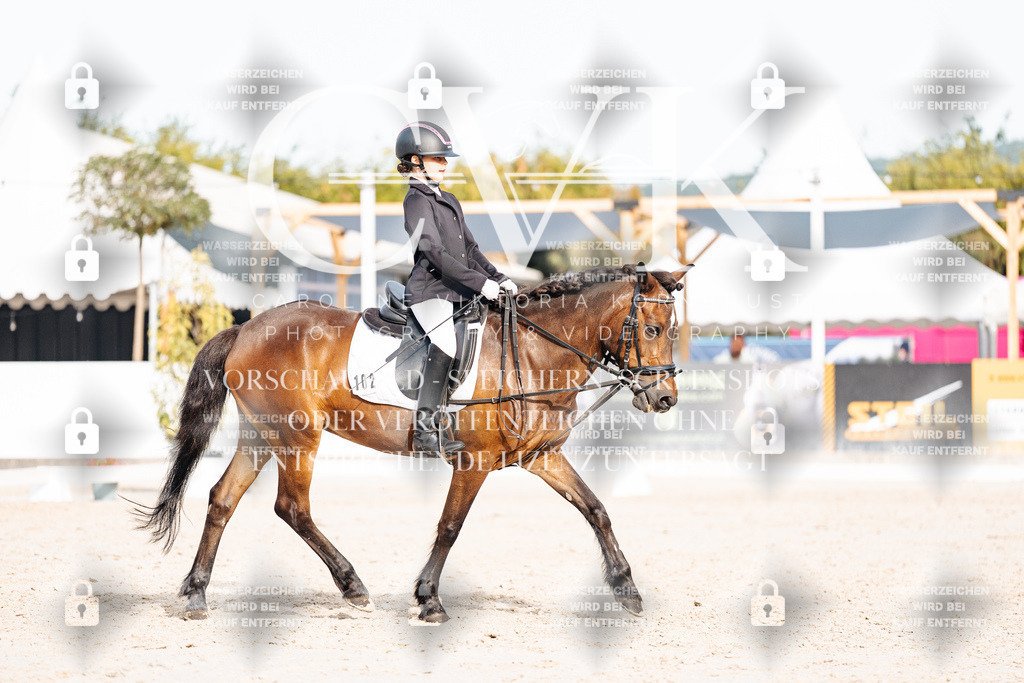 CK904778 | Turnierfotografie Pferdefotografie Trier Rheinland-Pfalz Pferdesport Reitsport Tierfotografie Sportfotografie Pferdevideo Pferdevideografie Equestrianvideography equestrianphotography  - Realisiert mit Pictrs.com
