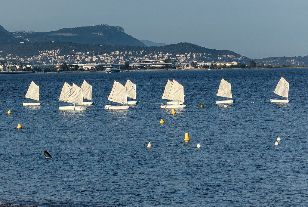 Baie des Anges – Segelschule vor Nizza | Sommerliche Leichtigkeit an der Côte d'Azur: Diese hochaufgelöste Fine-Art-Fotografie fängt die kleinen weißen Boote einer Segelschule in perfekter Formation auf dem tiefblauen Mittelmeer vor Nizza ein. Im Hintergrund erstreckt sich die beeindruckende, sonnenverwöhnte Bergkulisse der französischen Riviera. Die harmonische Reihung der Segel bringt maritime Eleganz, Weite und frische Urlaubs-Vibes in deine Räume. Ein wunderschöner Blickfang für moderne Wohnzimmer, helle Lofts oder repräsentative Büroräume.▶ Material-Empfehlung: Als großformatiger Druck unter edlem, glänzendem Acrylglas oder auf einer extrem scharfen Alu-Dibond-Platte kommen das strahlende Weiß der Segel und das intensive Blau des Meeres besonders brillant, tiefenwirksam und farbintensiv zur Geltung.Wähle jetzt deine Wunschgröße aus und hole dir das unbeschwerte Lebensgefühl Südfrankreichs an deine Wand![Archiv-Nr. #9801] - Realisiert mit Pictrs.com