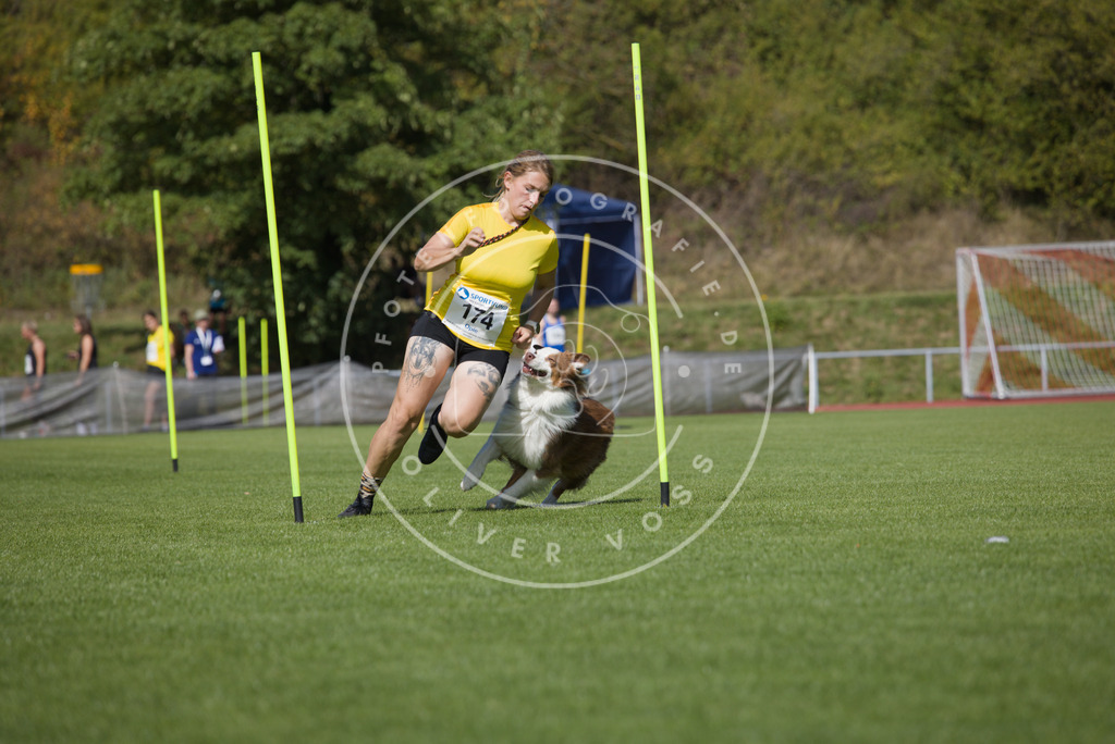 0L8A3324 | Hundefotografie, Tierfotograf, Pfotenfotografie, Fotoshooting Hund, Hunde Portrait, Hundesport, Hundeportraits, Heideshooting, Hunde, Sportfotograf, Hundefotograf, Turnierhundsport, THS,  - Realisiert mit Pictrs.com