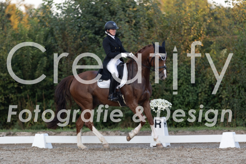 IMG_1936 | Creatify Fotografie