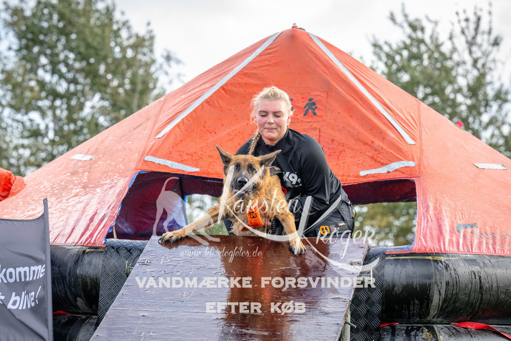 1217-93147 | kk-dogfotos