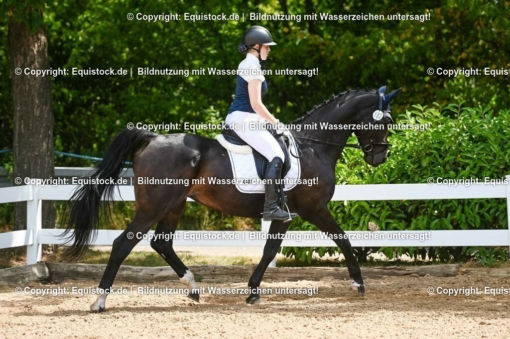 20230715_09_Dressur-WB_0205 | equistock