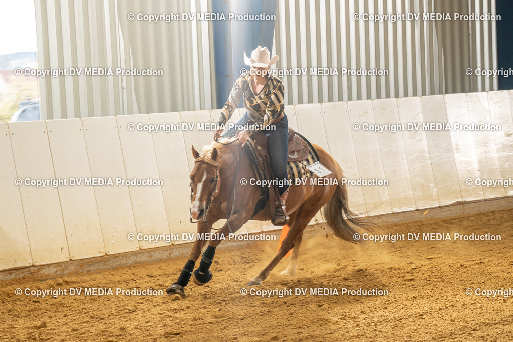 MIT01061 | dv-media-shop - Realisiert mit Pictrs.com