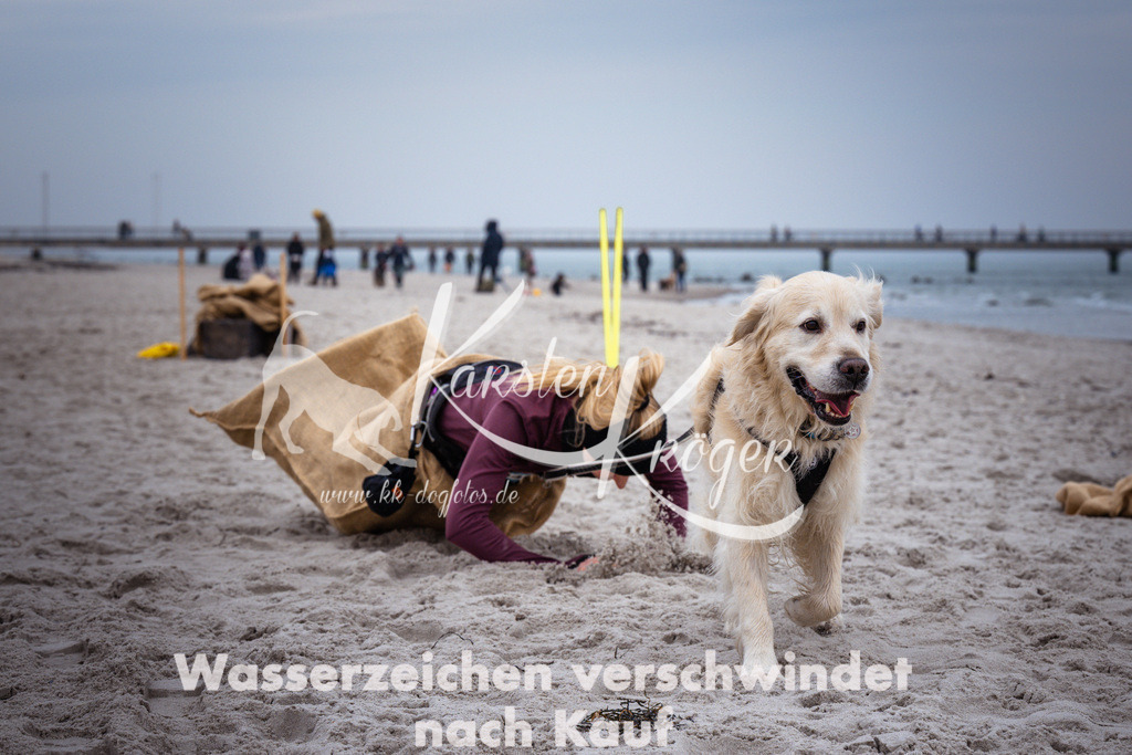 1227_ZZ94258 | kk-dogfotos