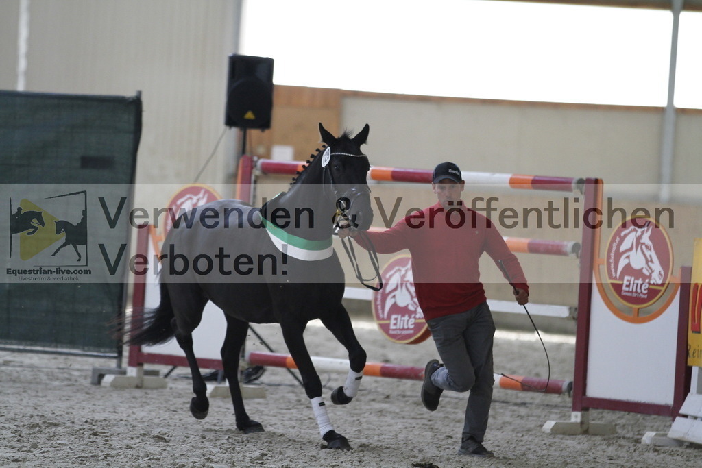 _MG_0110 | equestrian-live-com