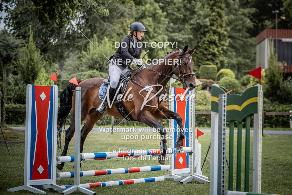 nelerasche_StilSpr60Ede_29 | nelerasche