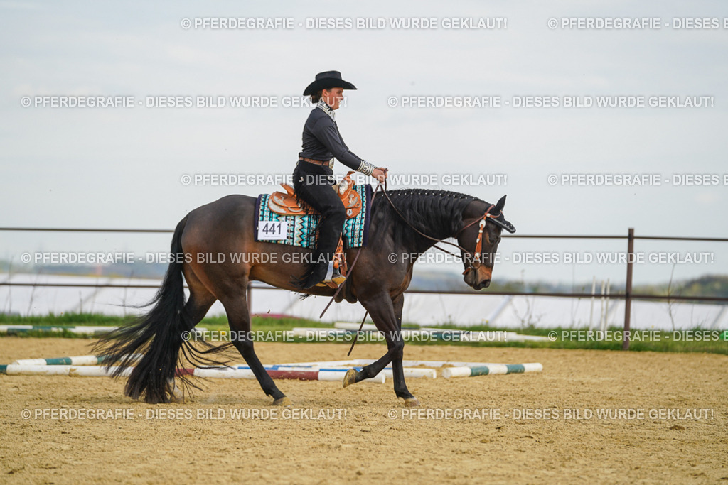 DSC05268 | Pferdegrafie