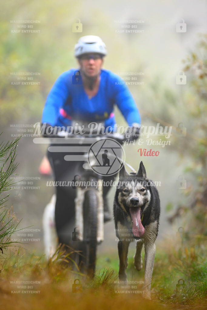 MompixPhotography_20TSB_E4_Bike-165 | PayLife