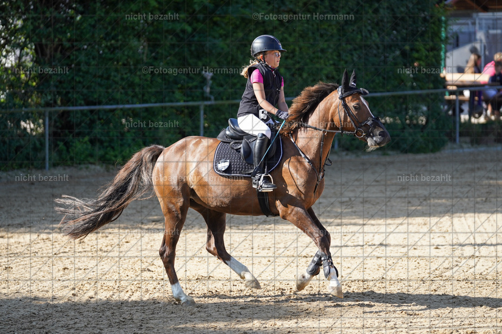 20240824-FAH07341 | Thierhaupten 2024, Bayerisches Landesponyturnier, Turnierbilder, Ponybilder, Turnierfotografen Bayern, Fotoagentur Herrmann