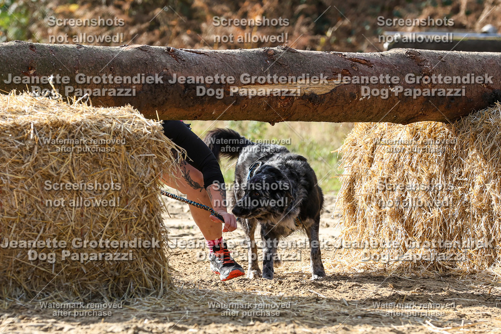 Dog Paparazzi - Strongdog 10-25-5944 | Dog Paparazzi Jeanette Grottendiek Fotografie & Videografie - Realisiert mit Pictrs.com