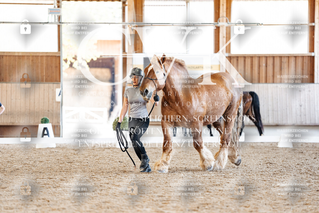 CK906402 | Turnierfotografie Pferdefotografie Trier Rheinland-Pfalz Pferdesport Reitsport Tierfotografie Sportfotografie Pferdevideo Pferdevideografie Equestrianvideography equestrianphotography  - Realisiert mit Pictrs.com