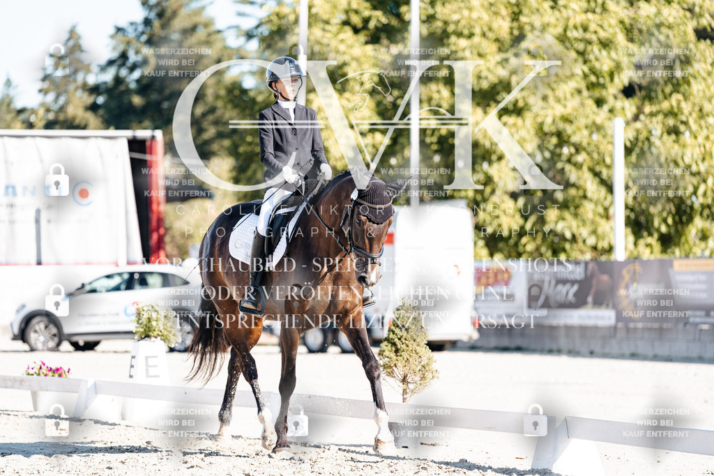 CK907256 | Turnierfotografie Pferdefotografie Trier Rheinland-Pfalz Pferdesport Reitsport Tierfotografie Sportfotografie Pferdevideo Pferdevideografie Equestrianvideography equestrianphotography  - Realisiert mit Pictrs.com